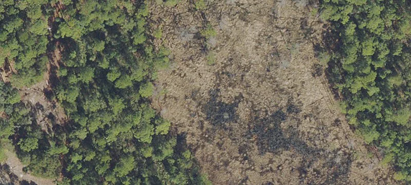 Wooded Residential Land Parcel