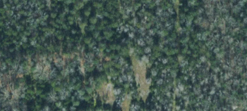Residential Development Land Tract