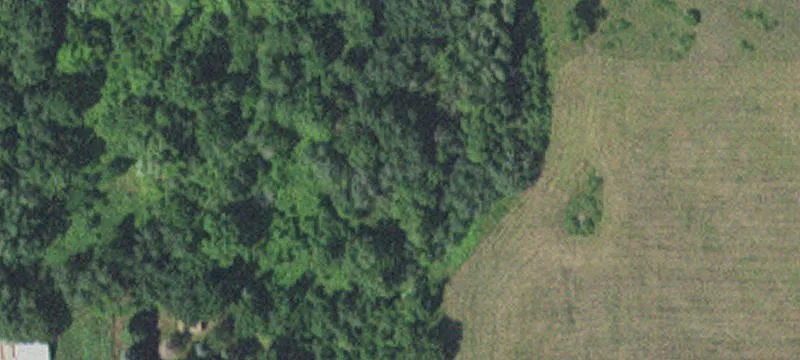 Partially Developed Cabin Site Land