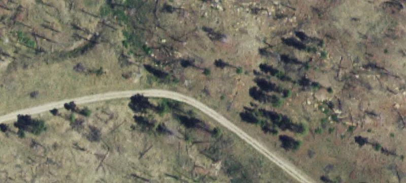 Vacant Wooded Land Parcel