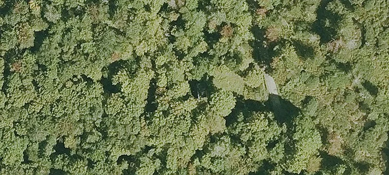 Off-Grid Mountain Camp Property