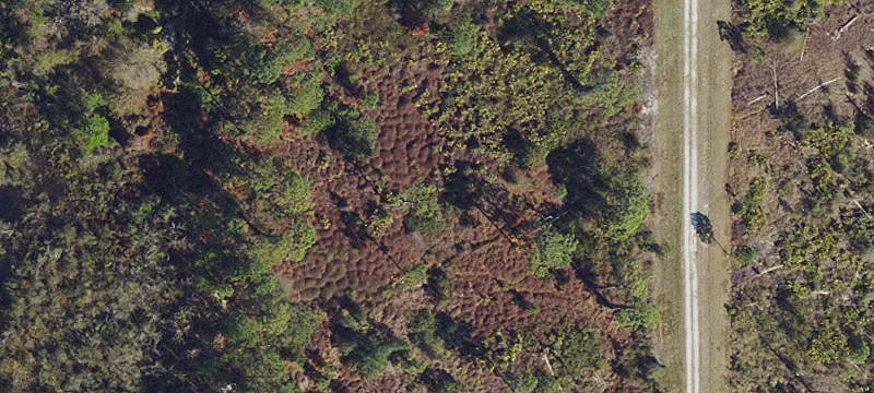 Single-Family Homesite Land Parcel