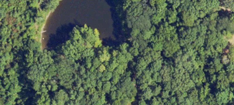 Wooded Residential Development Lot