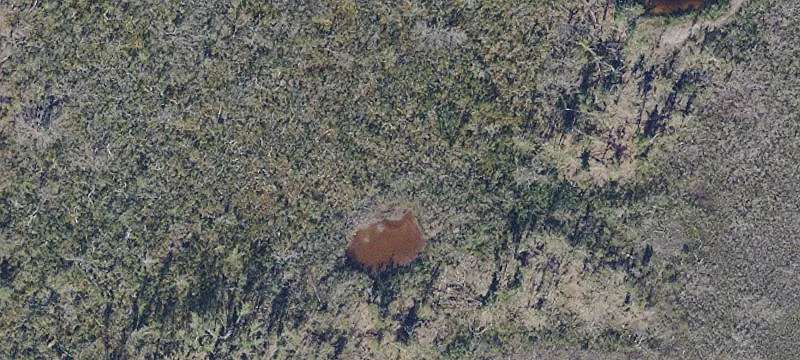 Gulf-Access Agricultural Land