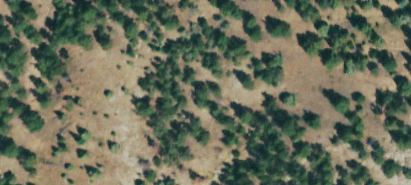 Mountain Homesite with Rock Outcroppings