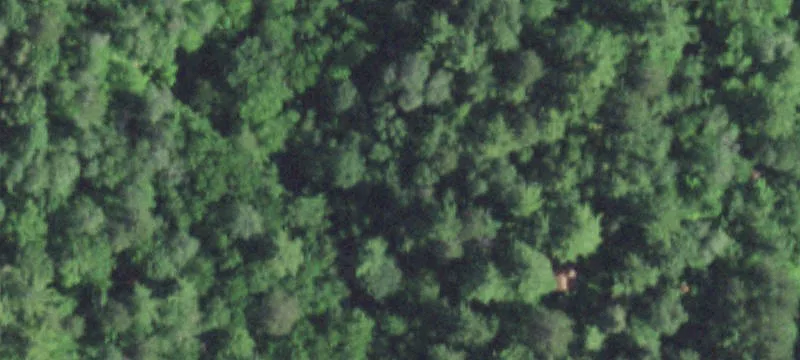 Wooded Recreation Land Parcel