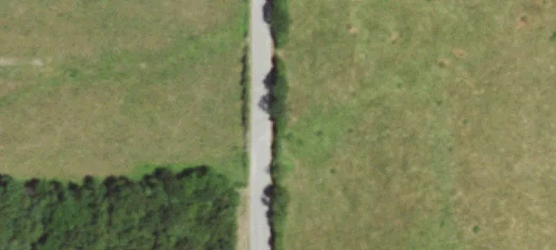 Acreage with Pasture and Timber