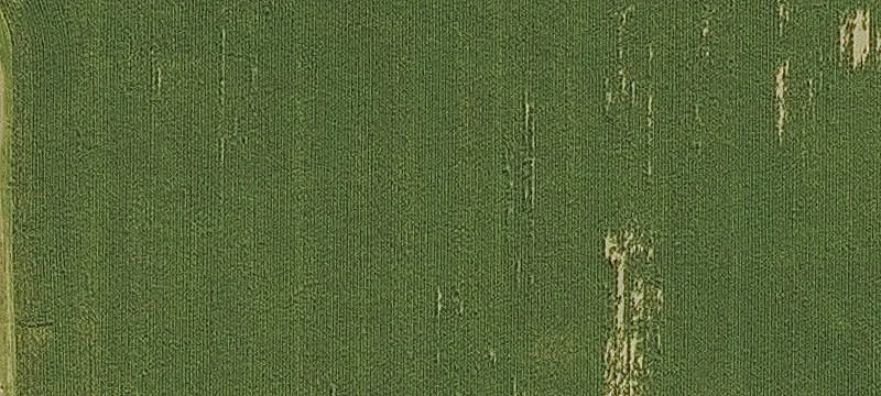 CRP-Enrolled Farm Land