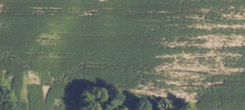 Hunting Land with Road Frontage