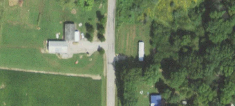 Timber Hunting Tract with Walnuts