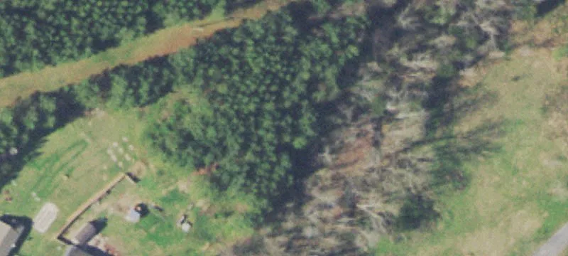 Wooded Recreational Land Parcel