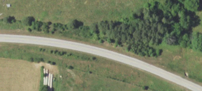 Wooded Hunting and Homesite Land