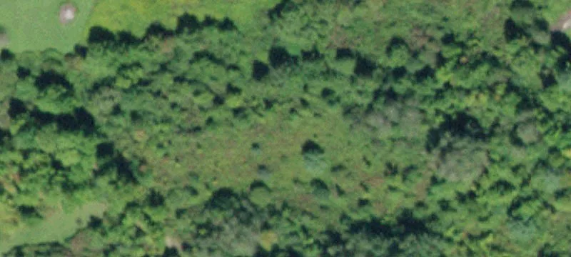 Scenic Buildable Land Parcel