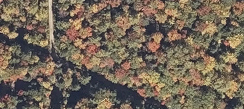 Wooded Recreation and Homesite Land