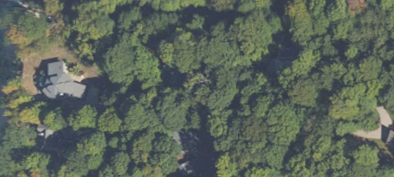 Wooded Residential Home Lot