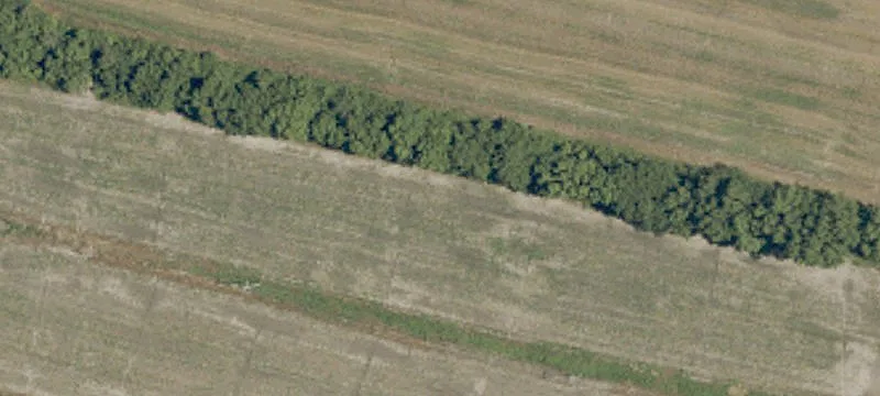Farmette Lots for Custom Build