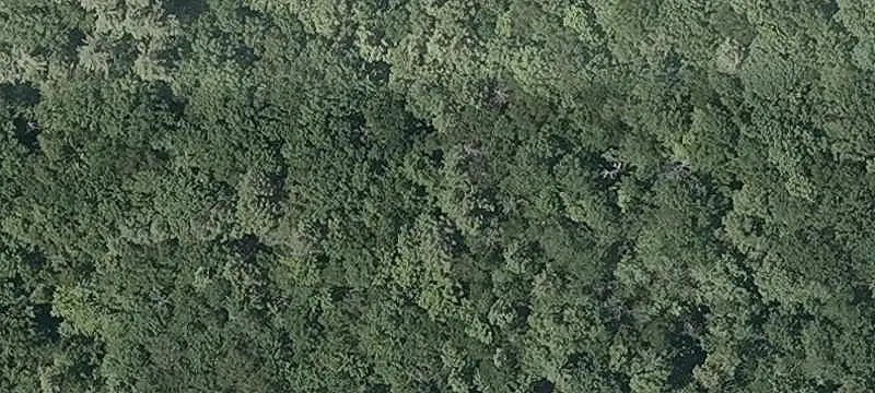 Lakefront Land with Two Parcels