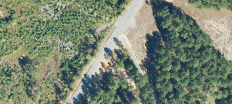 Waterfront Development Parcel with Trees
