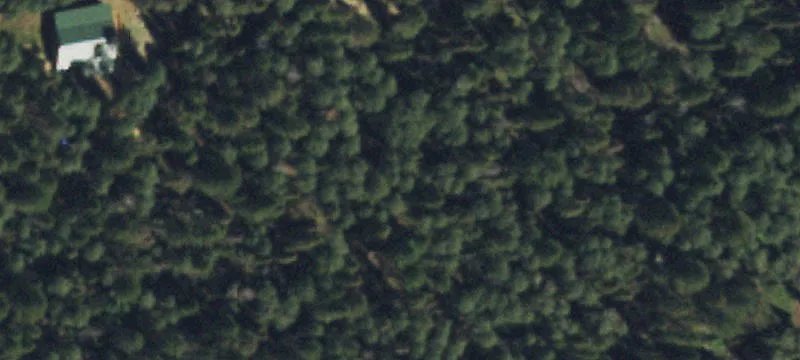 Wooded Mountain Recreation Lot