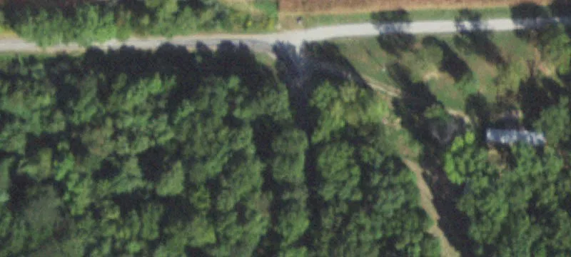 Wooded Hunting Land Tract