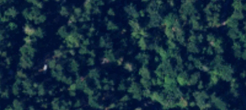 Wooded Island Home Site