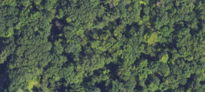 Wooded Residential Development Land
