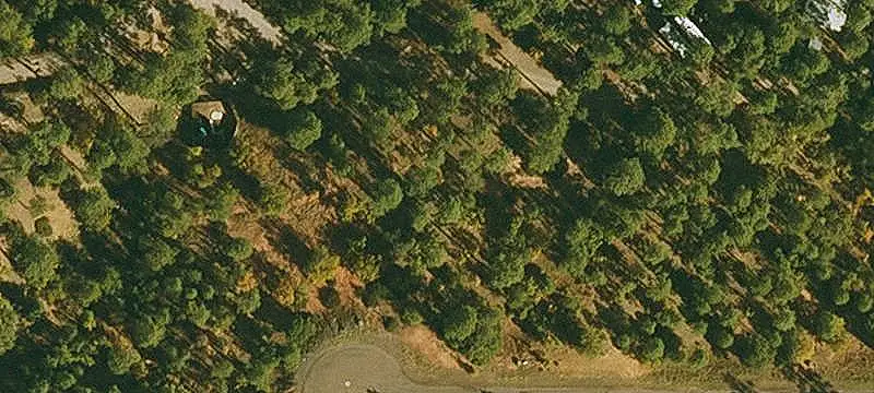 Residential Homesite in Pine Setting