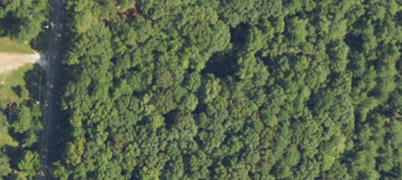 Acreage with Creek and Timber