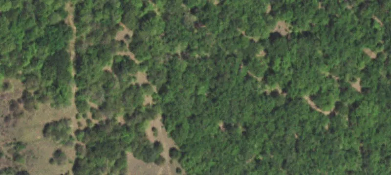 Recreational Land with Timber Clearings