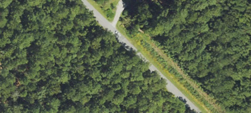 Mostly Cleared Land with Pond