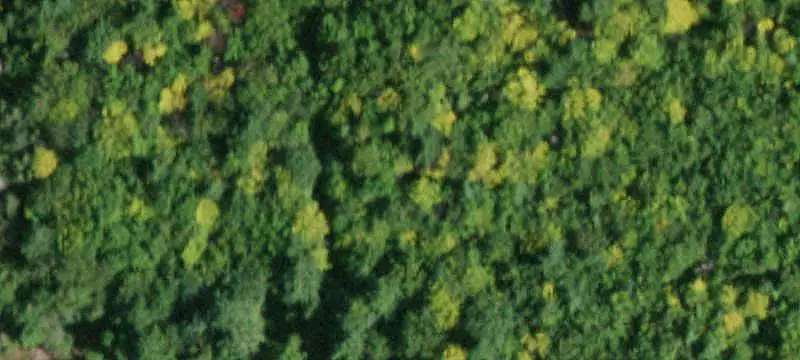 Wooded Residential Land Parcel