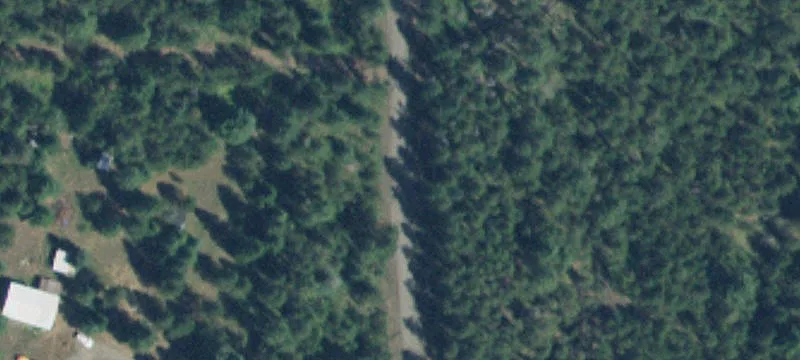 Timbered Land with Dry Cabin