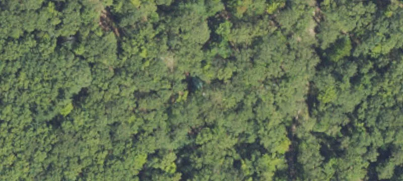 Wooded Double Lot for Home Build