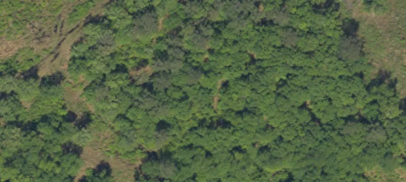 Agricultural Land Parcel