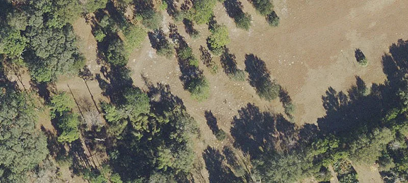 Acreage Hunting and Homesite Land