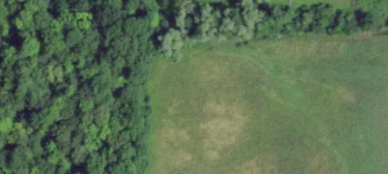 Uncleared Country Acreage for Sale