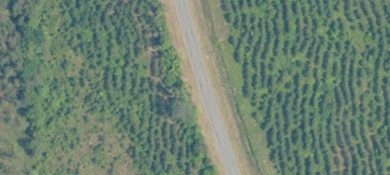 Hunting Land Tract