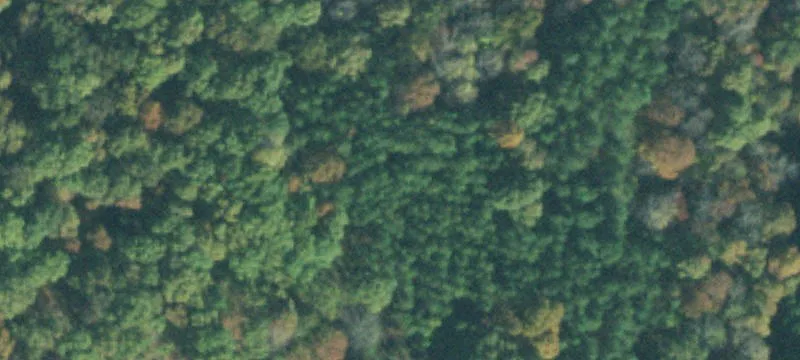 Agricultural Land Tract