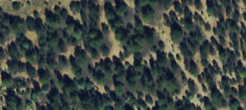 Recreation Hunting Land Parcel