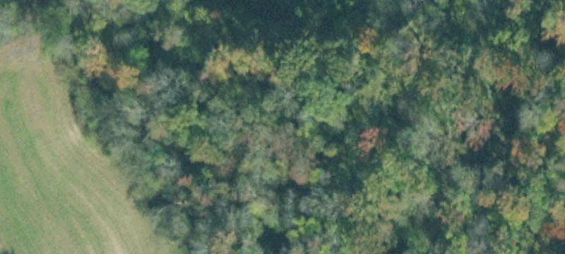 Hunting Land with Lodging
