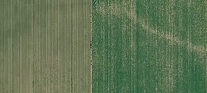 Platted Commercial Development Land