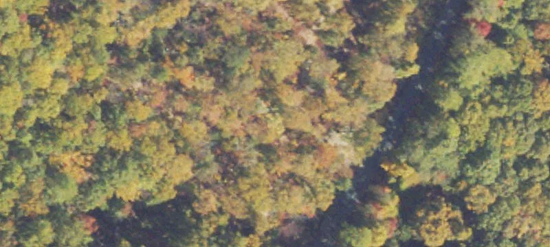 Buildable Residential Homesite