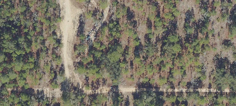Wooded Residential Lot with No HOA