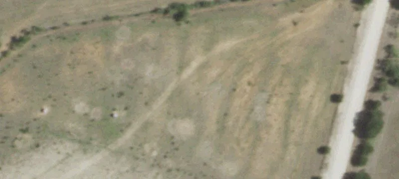 Hunting Land with Road Frontage