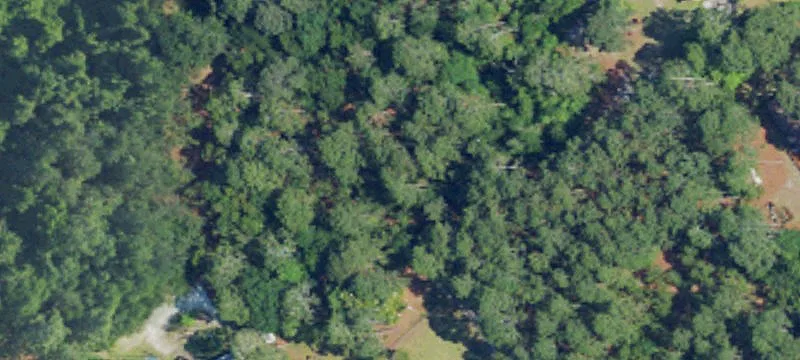 Build-Ready Private Homesite