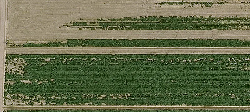 Off-Grid Acreage with Horse Area