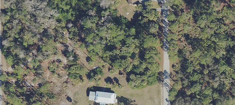 Residential Land Parcel with Mature Trees