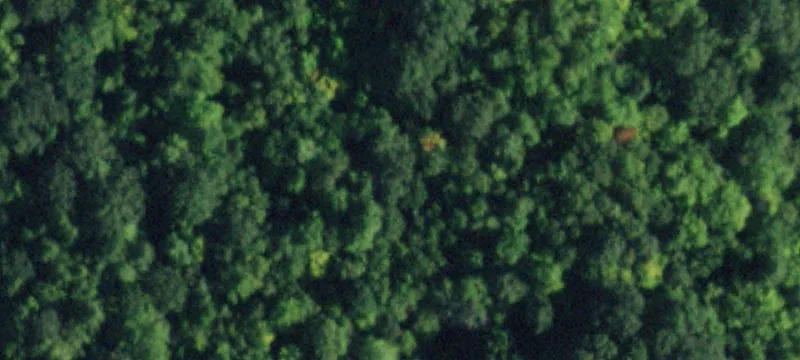Buildable Residential Building Lot