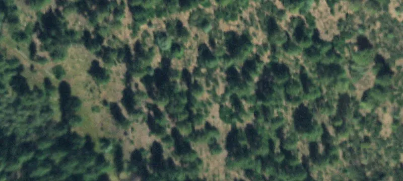 Recreational Hunting Land