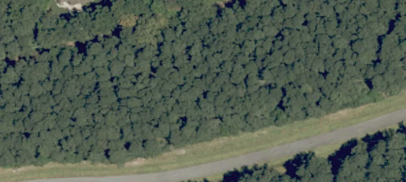 Wooded Homesite Lot